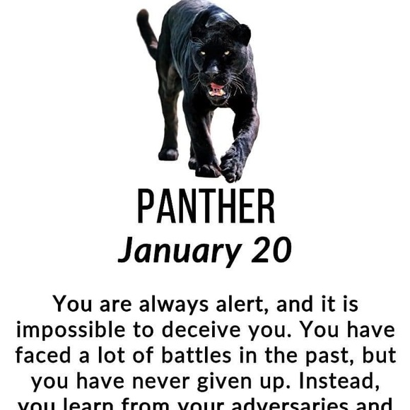 Meet your Posher, Matthew - Picture 1 of 1